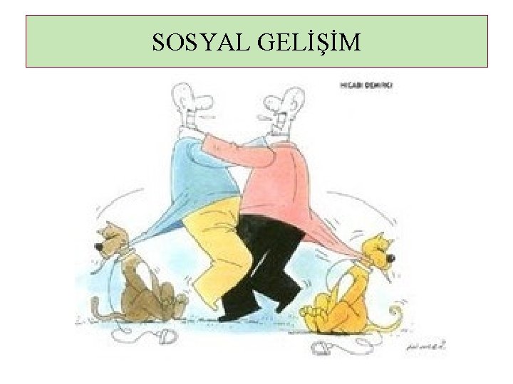 SOSYAL GELİŞİM 