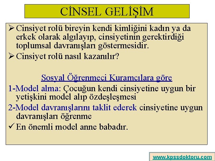 CİNSEL GELİŞİM Ø Cinsiyet rolü bireyin kendi kimliğini kadın ya da erkek olarak algılayıp,