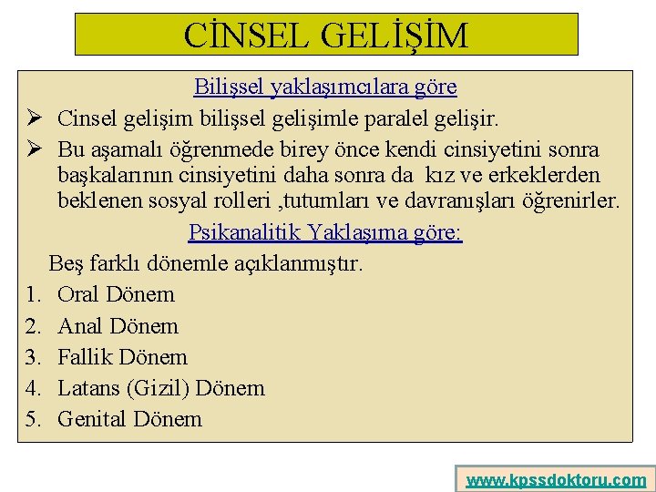 CİNSEL GELİŞİM Bilişsel yaklaşımcılara göre Ø Cinsel gelişim bilişsel gelişimle paralel gelişir. Ø Bu