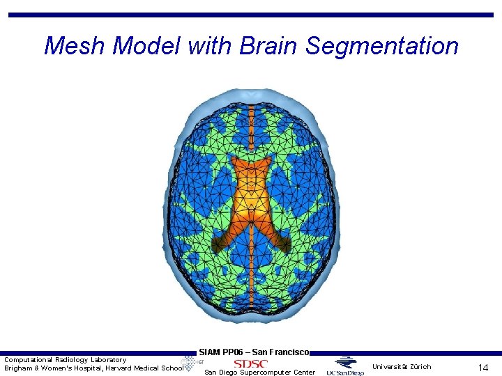 Dynamic Data Driven Finite Element Modeling of Brain