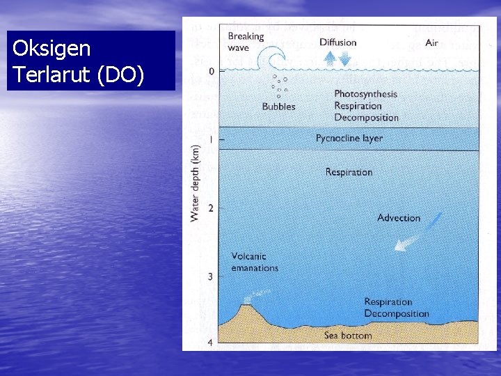 Oksigen Terlarut (DO) 