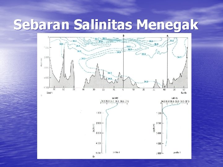 Sebaran Salinitas Menegak 