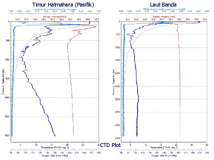 Timur Halmahera (Pasifik) Laut Banda CTD Plot 