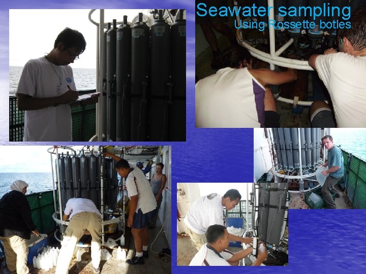 Seawater sampling Using Rossette botles 