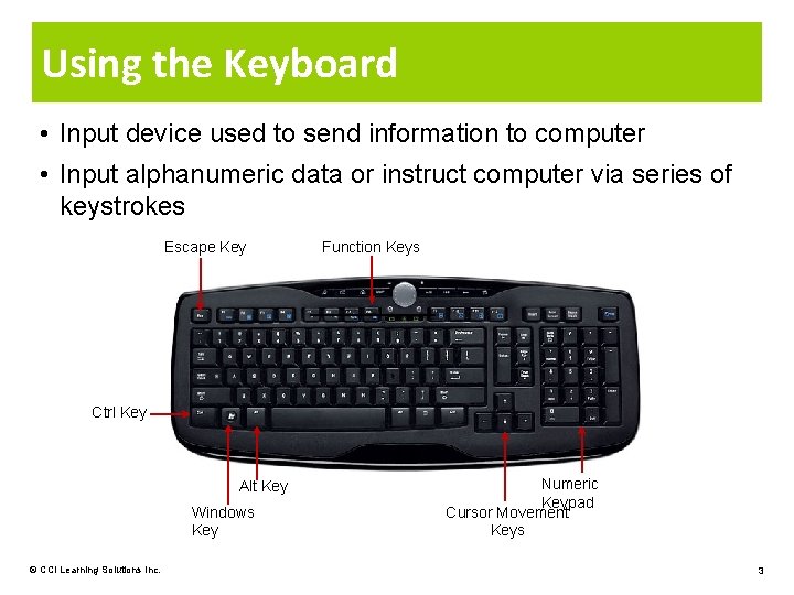 Using the Keyboard • Input device used to send information to computer • Input