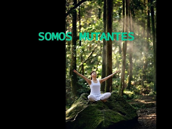 SOMOS MUTANTES 