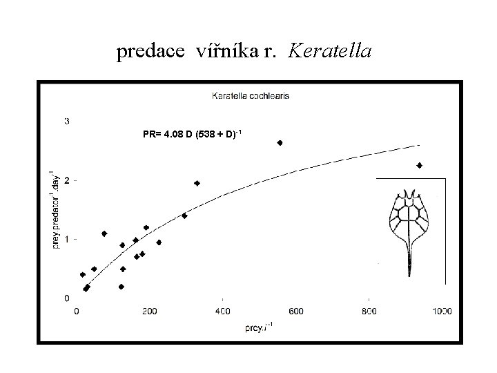 predace vířníka r. Keratella PR= 4. 08 D (538 + D)-1 