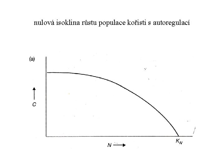 nulová isoklina růstu populace kořisti s autoregulací 