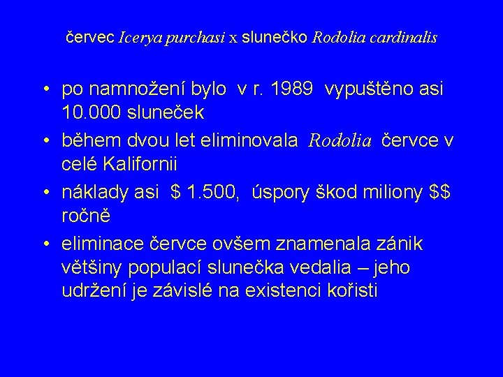 červec Icerya purchasi x slunečko Rodolia cardinalis • po namnožení bylo v r. 1989