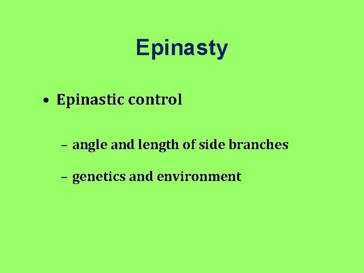 Epinasty • Epinastic control – angle and length of side branches – genetics and