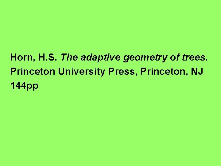 Horn, H. S. The adaptive geometry of trees. Princeton University Press, Princeton, NJ 144