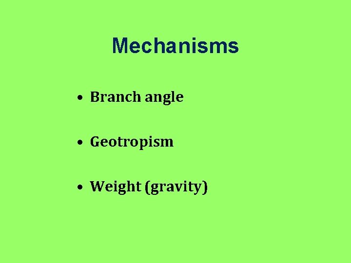 Mechanisms • Branch angle • Geotropism • Weight (gravity) 