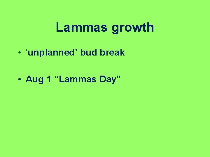 Lammas growth • ‘unplanned’ bud break • Aug 1 “Lammas Day” 