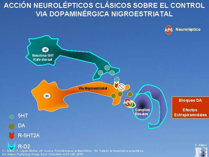 ACCIÓN NEUROLÉPTICOS CLÁSICOS SOBRE EL CONTROL VIA DOPAMINÉRGICA NIGROESTRIATAL APS Neuroléptico Neurona 5 HT