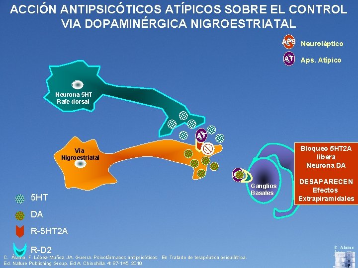 ACCIÓN ANTIPSICÓTICOS ATÍPICOS SOBRE EL CONTROL VIA DOPAMINÉRGICA NIGROESTRIATAL APS Neuroléptico AT Aps. Atípico