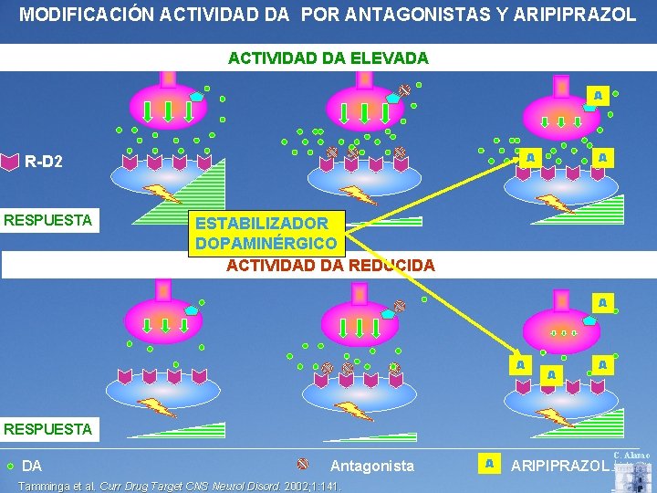 MODIFICACIÓN ACTIVIDAD DA POR ANTAGONISTAS Y ARIPIPRAZOL ACTIVIDAD DA ELEVADA A A R-D 2