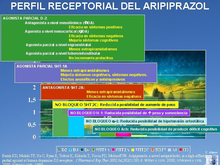 PERFIL RECEPTORIAL DEL ARIPIPRAZOL AGONISTA PARCIAL D-2: Antagonista a nivel mesolímbico ( DA) Eficacia