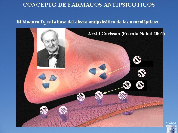 CONCEPTO DE FÁRMACOS ANTIPSICÓTICOS El bloqueo D 2 es la base del efecto antipsicótico