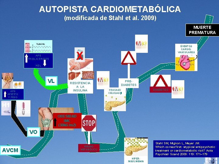 AUTOPISTA CARDIOMETABÓLICA (modificada de Stahl et al. 2009) MUERTE PREMATURA M 3 APS TRIGLICERIDOS