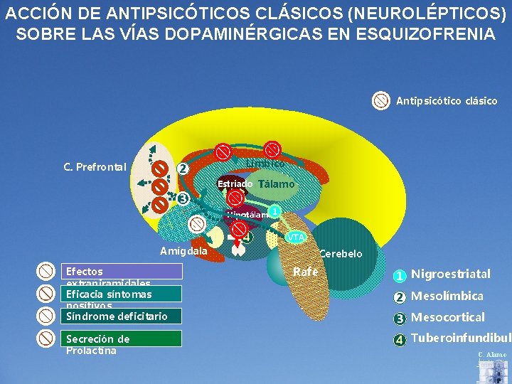 ACCIÓN DE ANTIPSICÓTICOS CLÁSICOS (NEUROLÉPTICOS) SOBRE LAS VÍAS DOPAMINÉRGICAS EN ESQUIZOFRENIA Antipsicótico clásico C.
