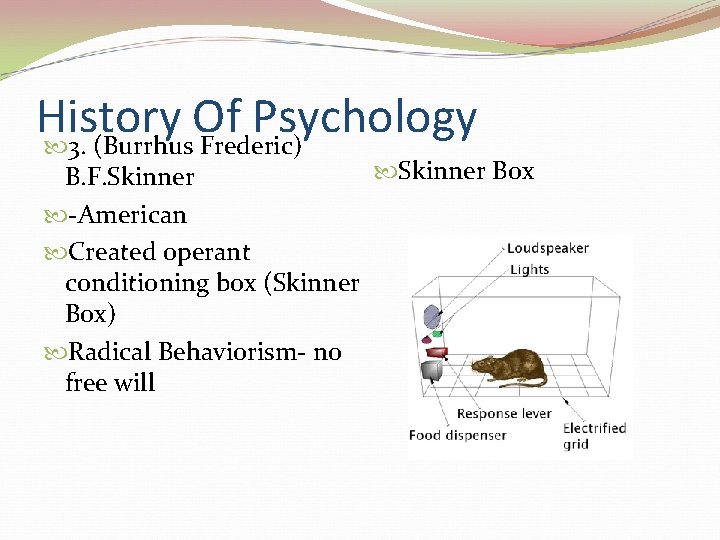 History Of Psychology 3. (Burrhus Frederic) Skinner Box B. F. Skinner -American Created operant