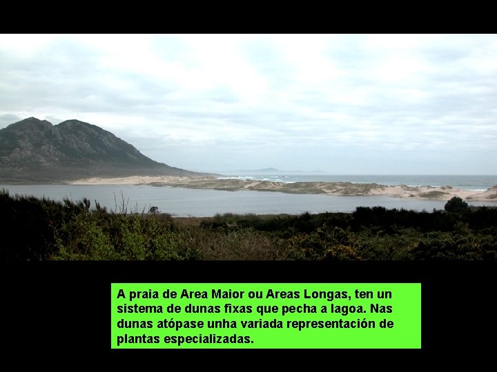 A praia de Area Maior ou Areas Longas, ten un sistema de dunas fixas A praia de Area Maior ou Areas Longas, ten un sistema de dunas fixas