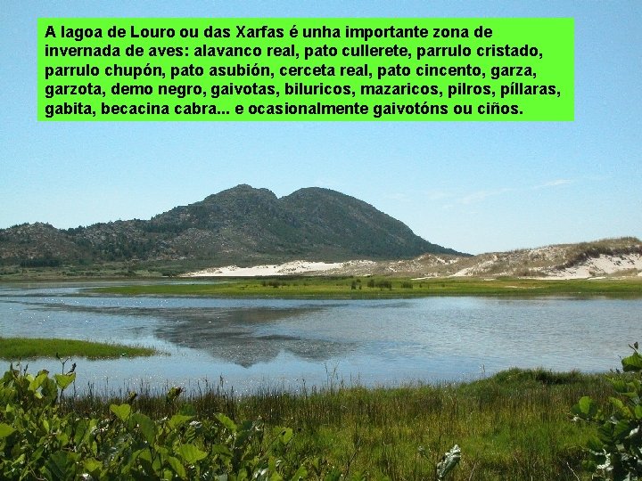 A lagoa de Louro ou das Xarfas é unha importante zona de invernada de
