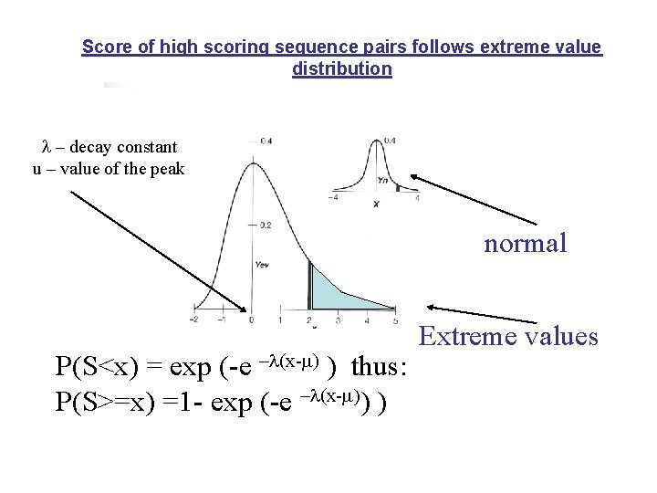 Score of high scoring sequence pairs follows extreme value distribution l – decay constant