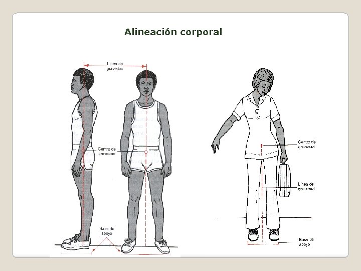 Alineación corporal 