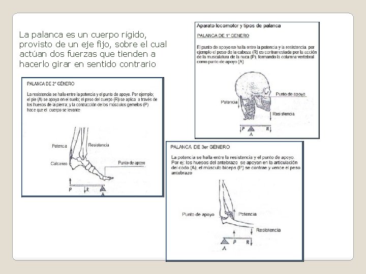 La palanca es un cuerpo rígido, provisto de un eje fijo, sobre el cual