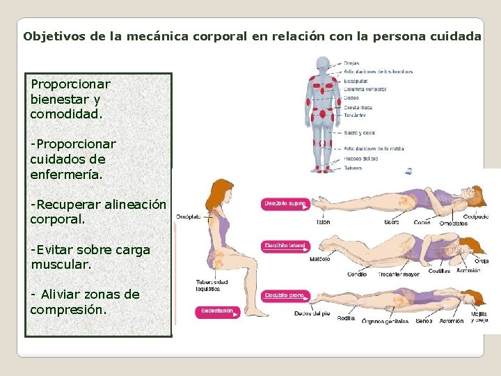 Objetivos de la mecánica corporal en relación con la persona cuidada Proporcionar bienestar y