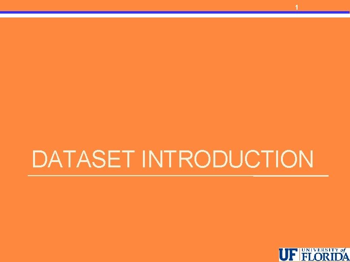 1 DATASET INTRODUCTION 