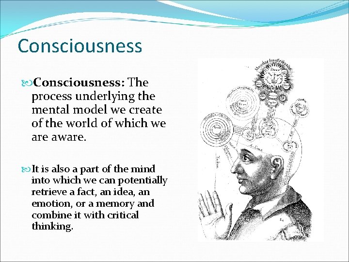 Consciousness: The process underlying the mental model we create of the world of which