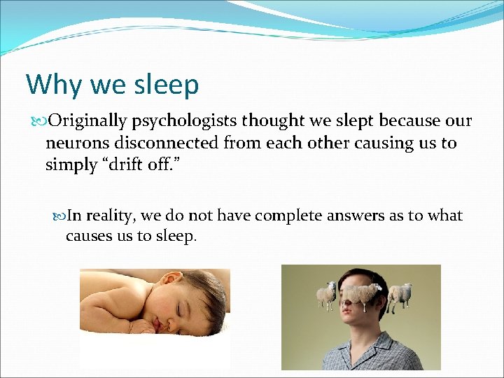 Why we sleep Originally psychologists thought we slept because our neurons disconnected from each