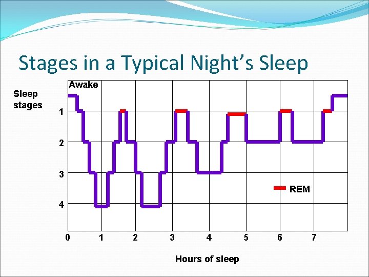 Stages in a Typical Night’s Sleep stages Awake 1 2 3 REM 4 0