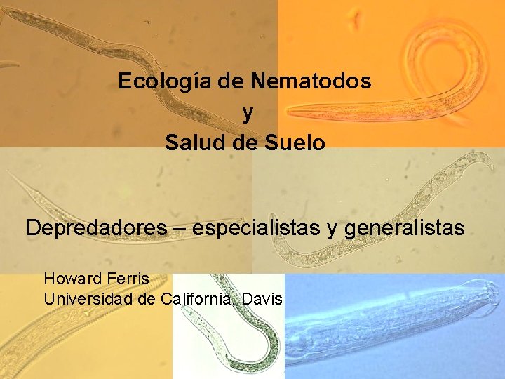 Ecología de Nematodos y Salud de Suelo Depredadores – especialistas y generalistas Howard Ferris