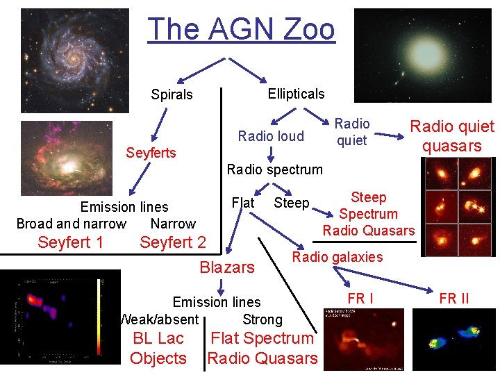 The AGN Zoo Ellipticals Spirals Radio quiet Radio loud Seyferts Radio quiet quasars Radio