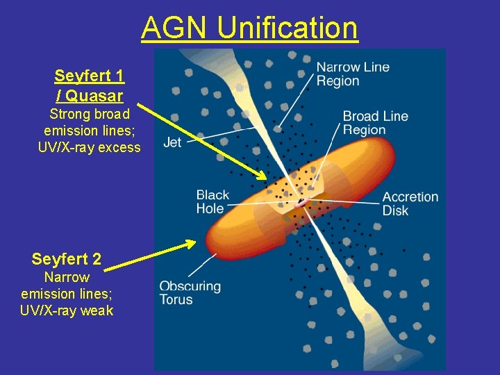 AGN Unification Seyfert 1 / Quasar Strong broad emission lines; UV/X-ray excess Seyfert 2