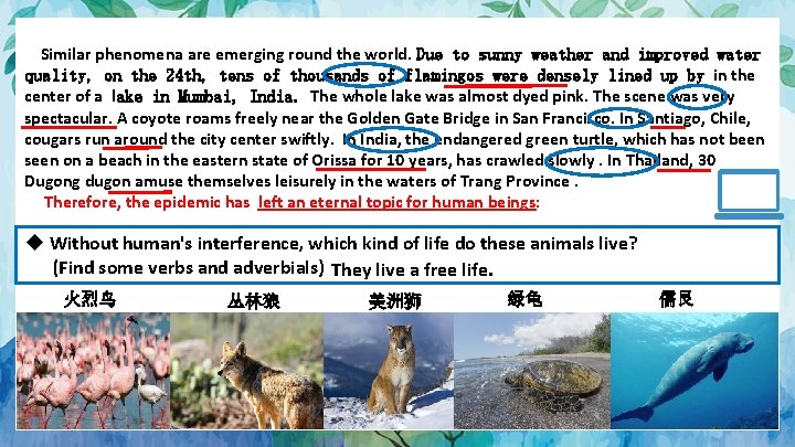  Similar phenomena are emerging round the world. Due to sunny weather and improved