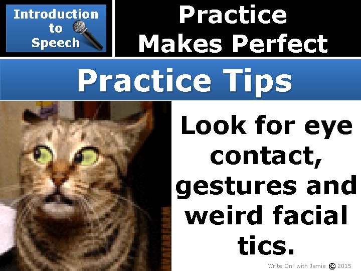 Introduction to Speech Practice Makes Perfect Practice Tips Look for eye contact, gestures and