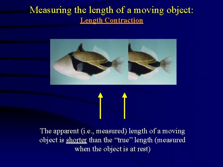 Measuring the length of a moving object: Length Contraction The apparent (i. e. ,