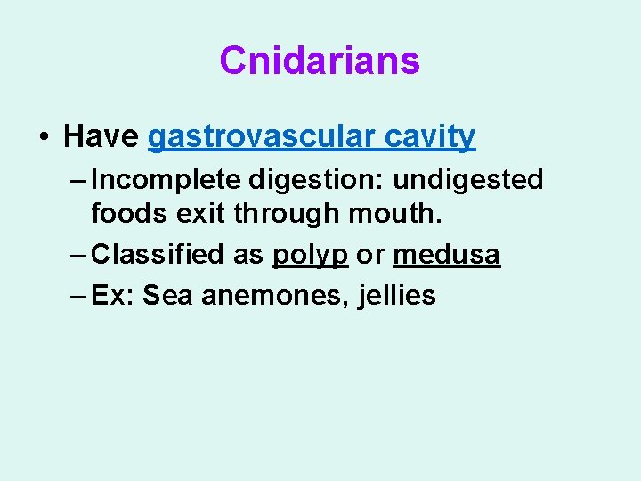 Cnidarians • Have gastrovascular cavity – Incomplete digestion: undigested foods exit through mouth. –