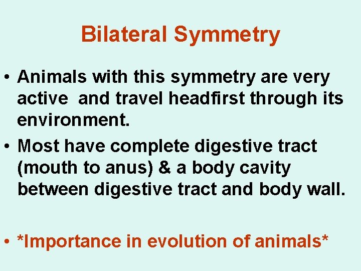 Bilateral Symmetry • Animals with this symmetry are very active and travel headfirst through