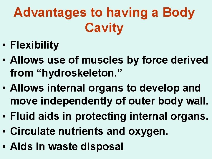 Advantages to having a Body Cavity • Flexibility • Allows use of muscles by