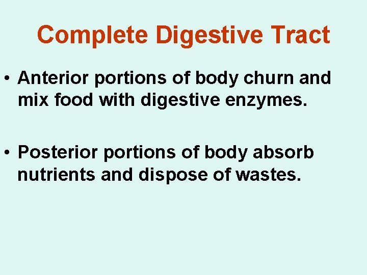 Complete Digestive Tract • Anterior portions of body churn and mix food with digestive