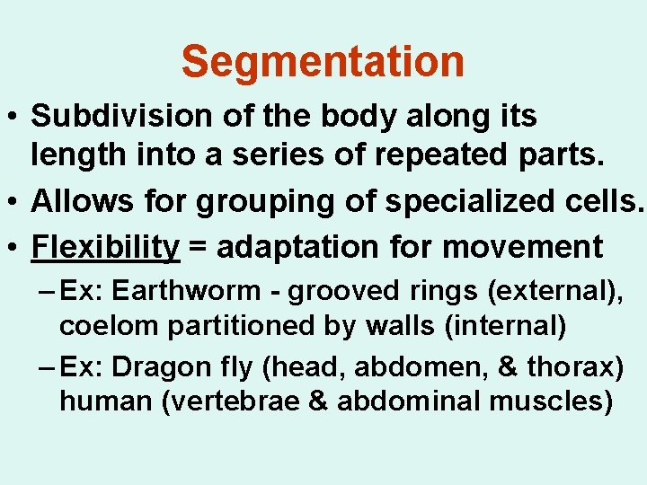 Segmentation • Subdivision of the body along its length into a series of repeated