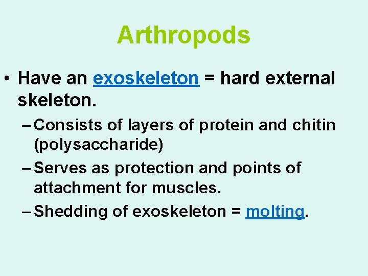 Arthropods • Have an exoskeleton = hard external skeleton. – Consists of layers of