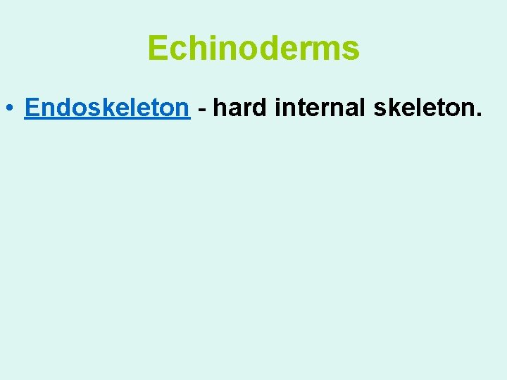 Echinoderms • Endoskeleton - hard internal skeleton. 