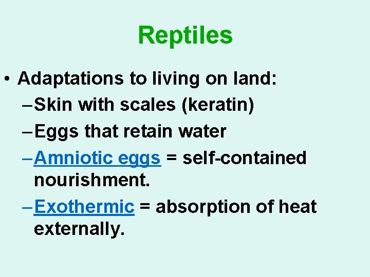 Reptiles • Adaptations to living on land: – Skin with scales (keratin) – Eggs