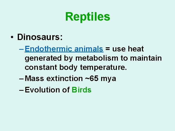 Reptiles • Dinosaurs: – Endothermic animals = use heat generated by metabolism to maintain